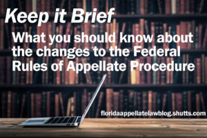 Keep it Brief: What You Should Know About the Changes to the Federal Rules of Appellate Procedure